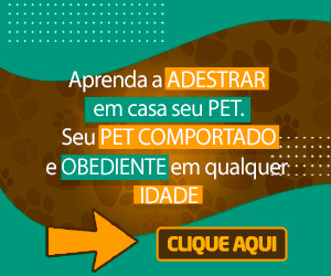 Como Adestrar Meu Cachorro